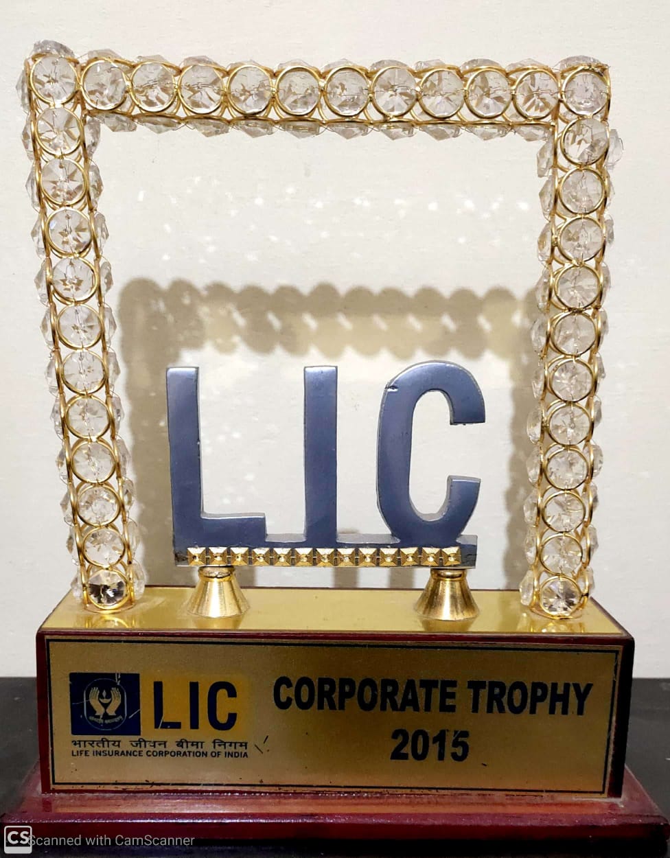 Corporate Trophy 2015