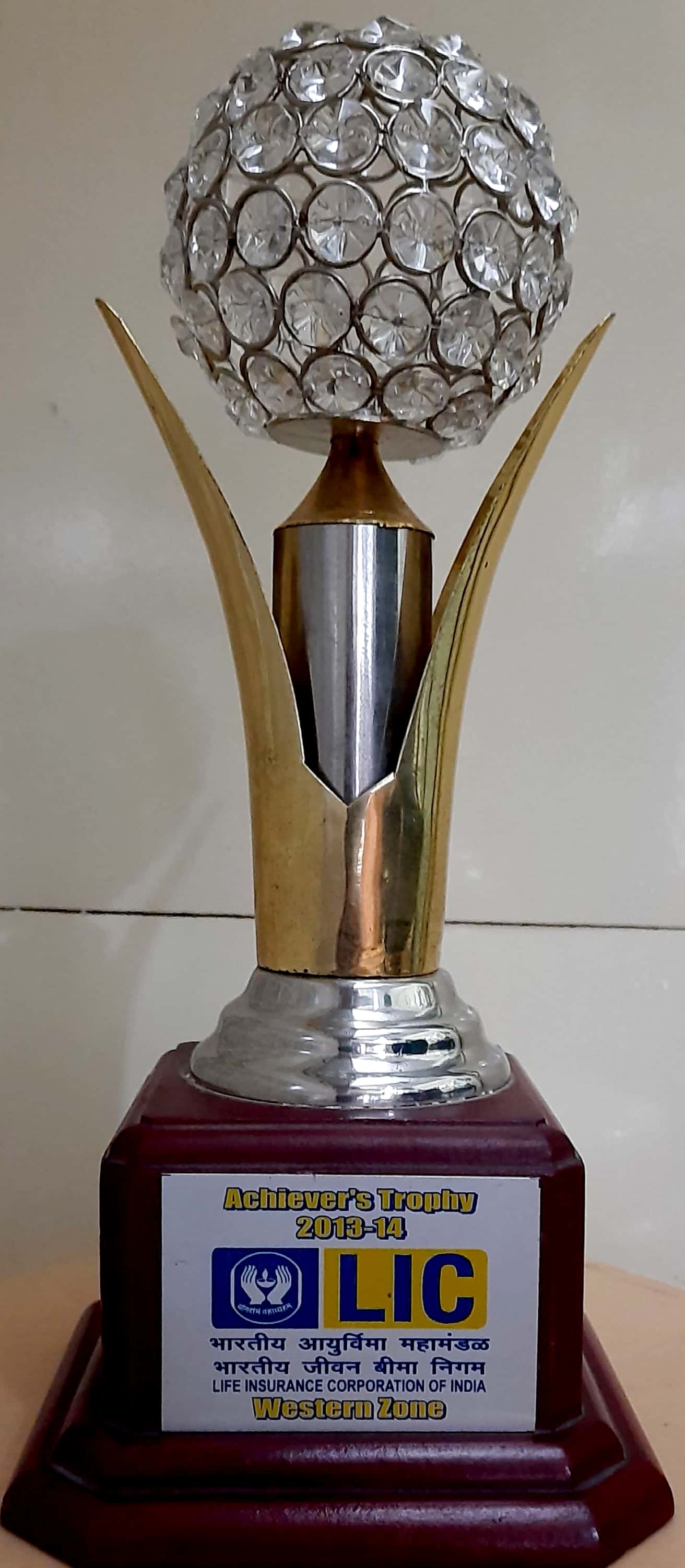 Achievers Trophy 2013-14