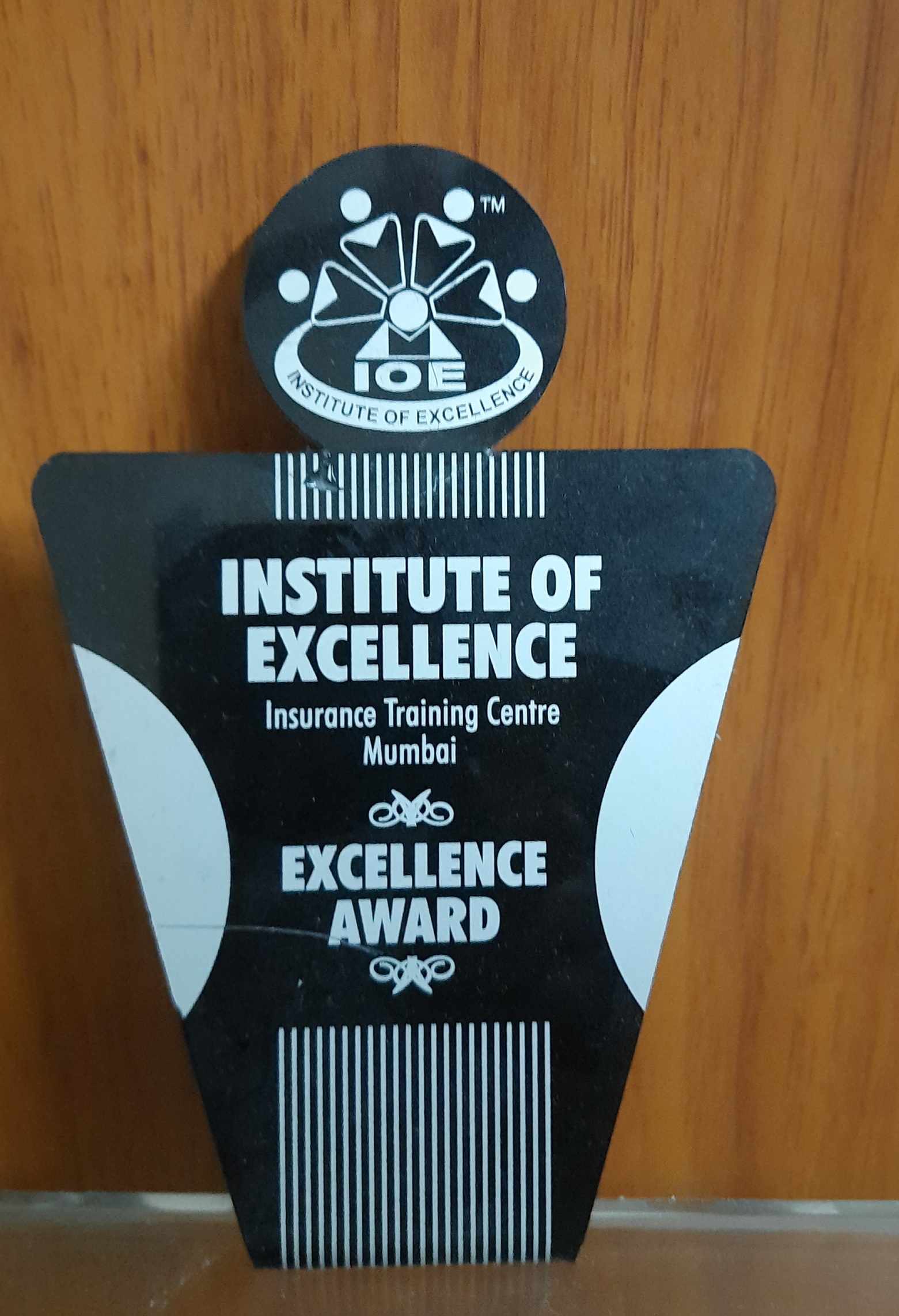 Trophy of Excellence Award