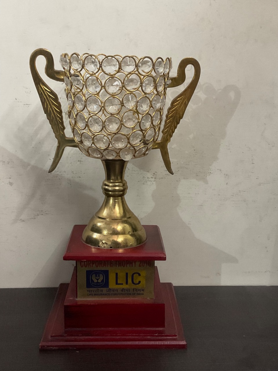 Corporate Trophy 2015