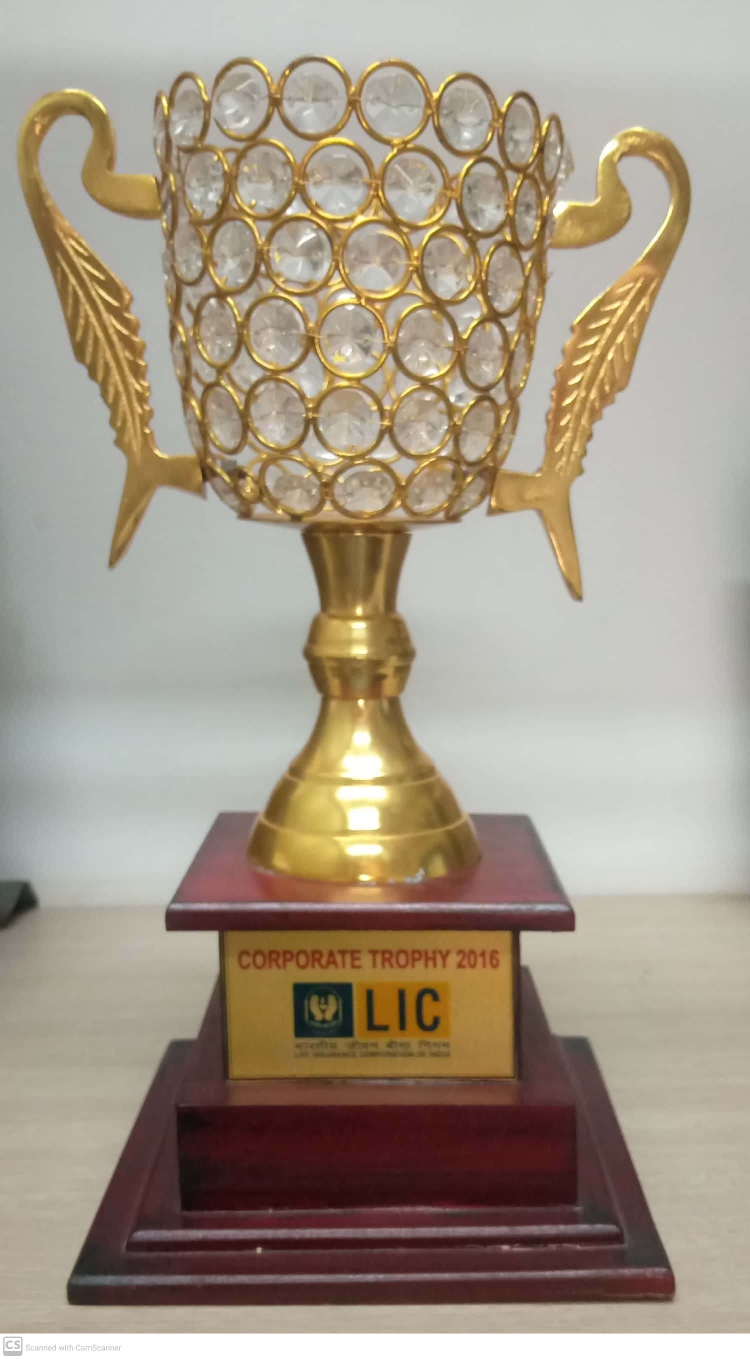 Received Corporate Trophy 2016