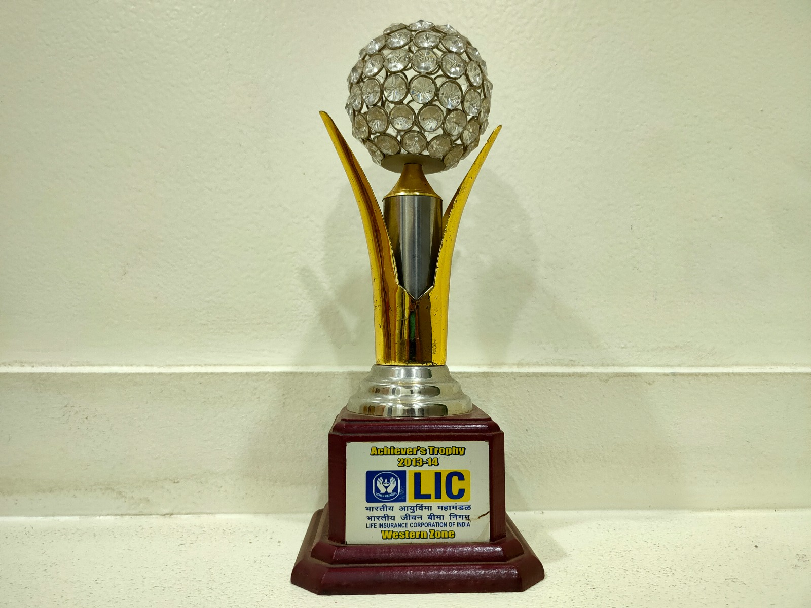 Trophy For Achiever 2013-14