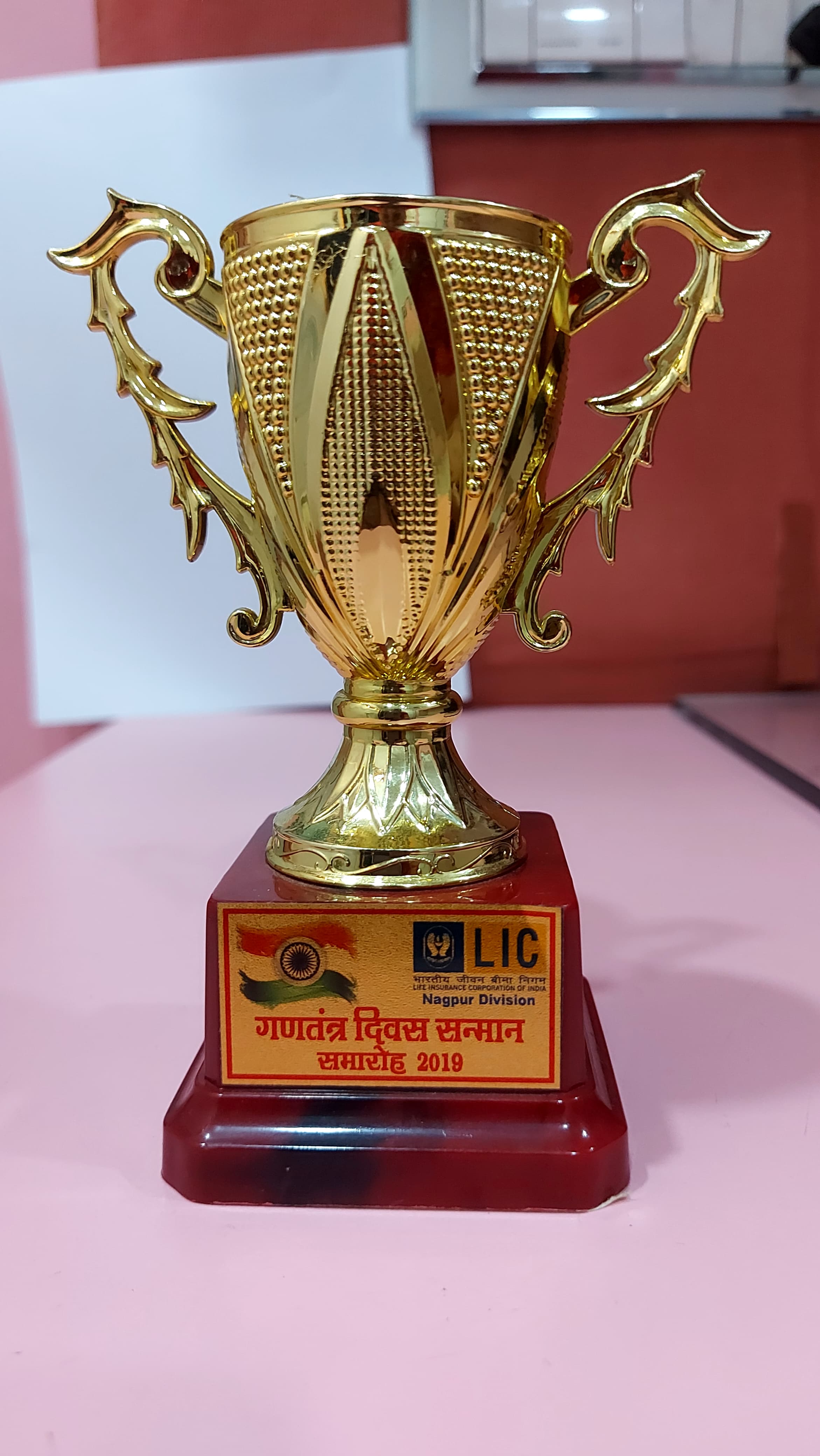 Independence Day Trophy