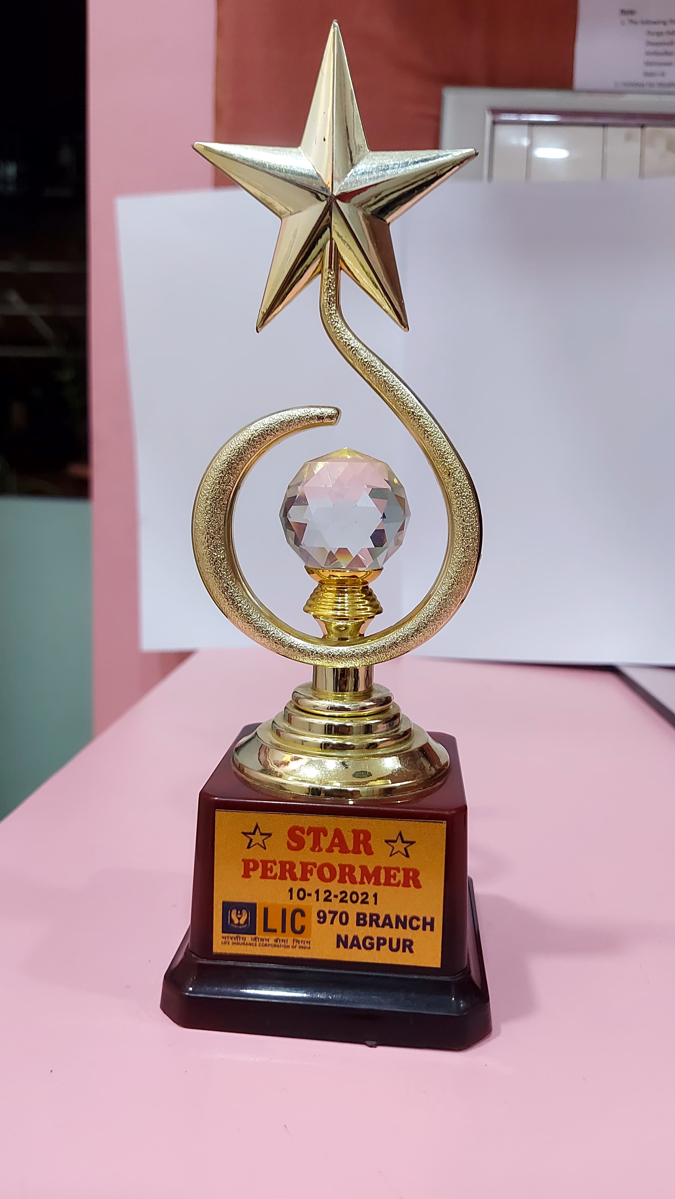 Trophy For Star Performer