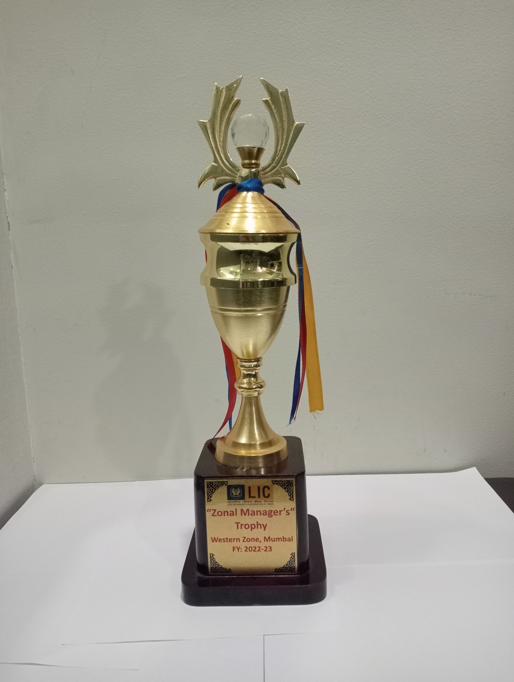 Zonal Manager's Trophy