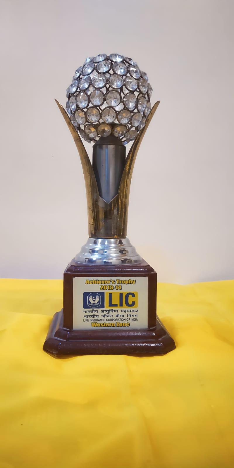 Trophy For Achiever 2013-14