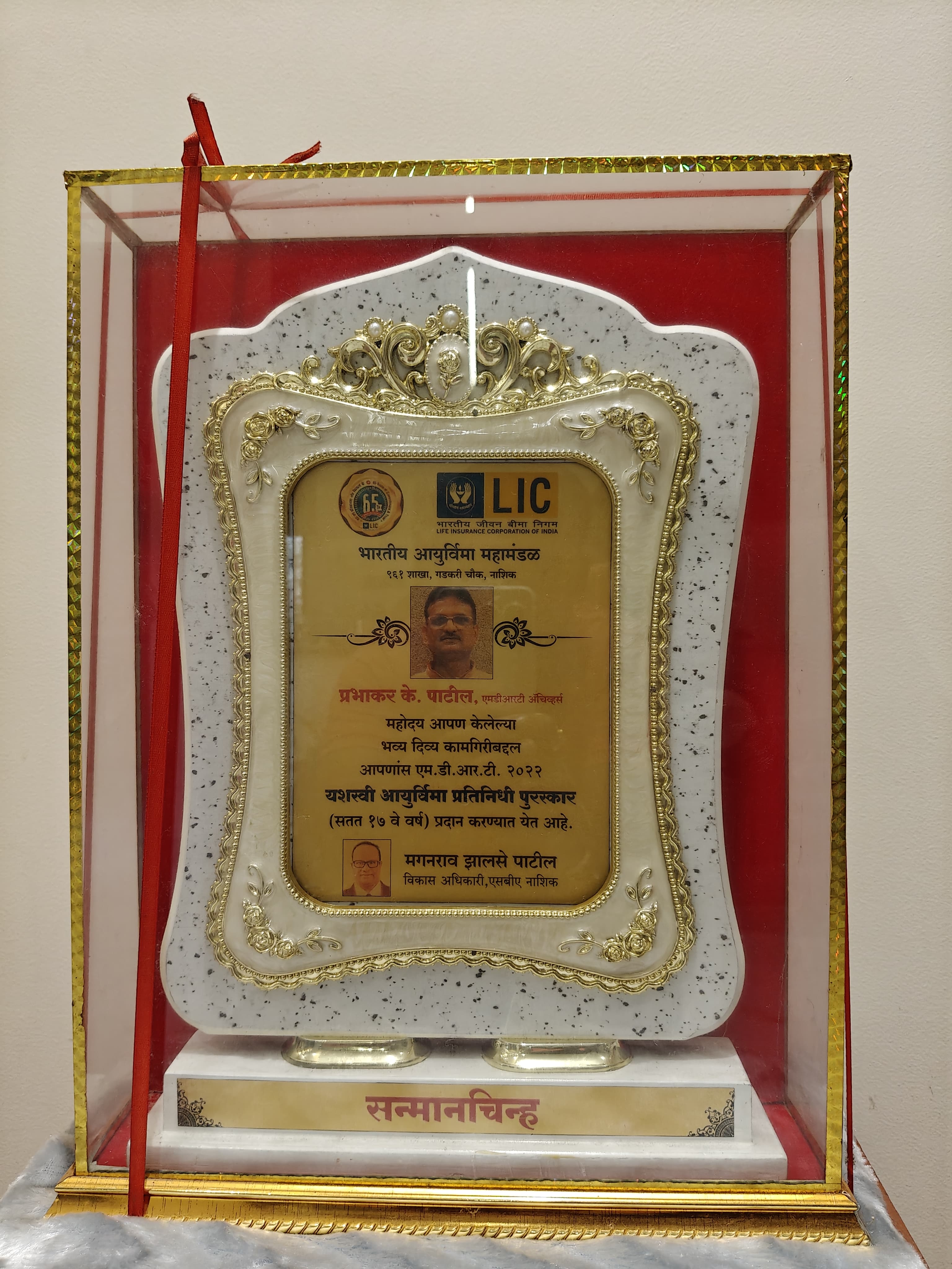 Life Insurance Representative Award (17th Consecutive Year)