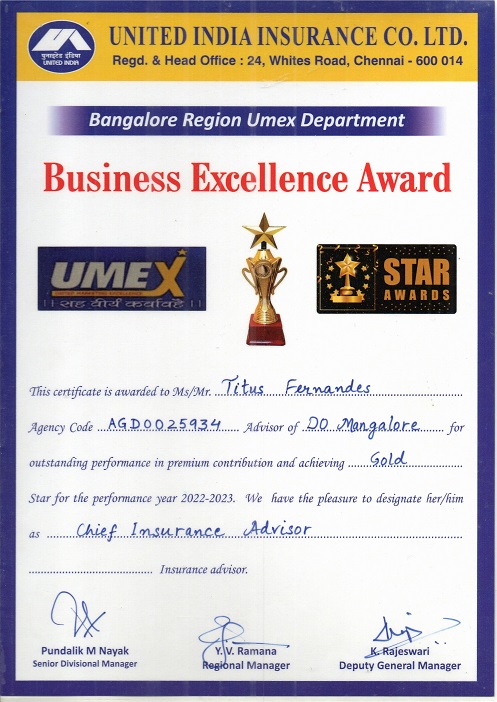 Business Excellence Award