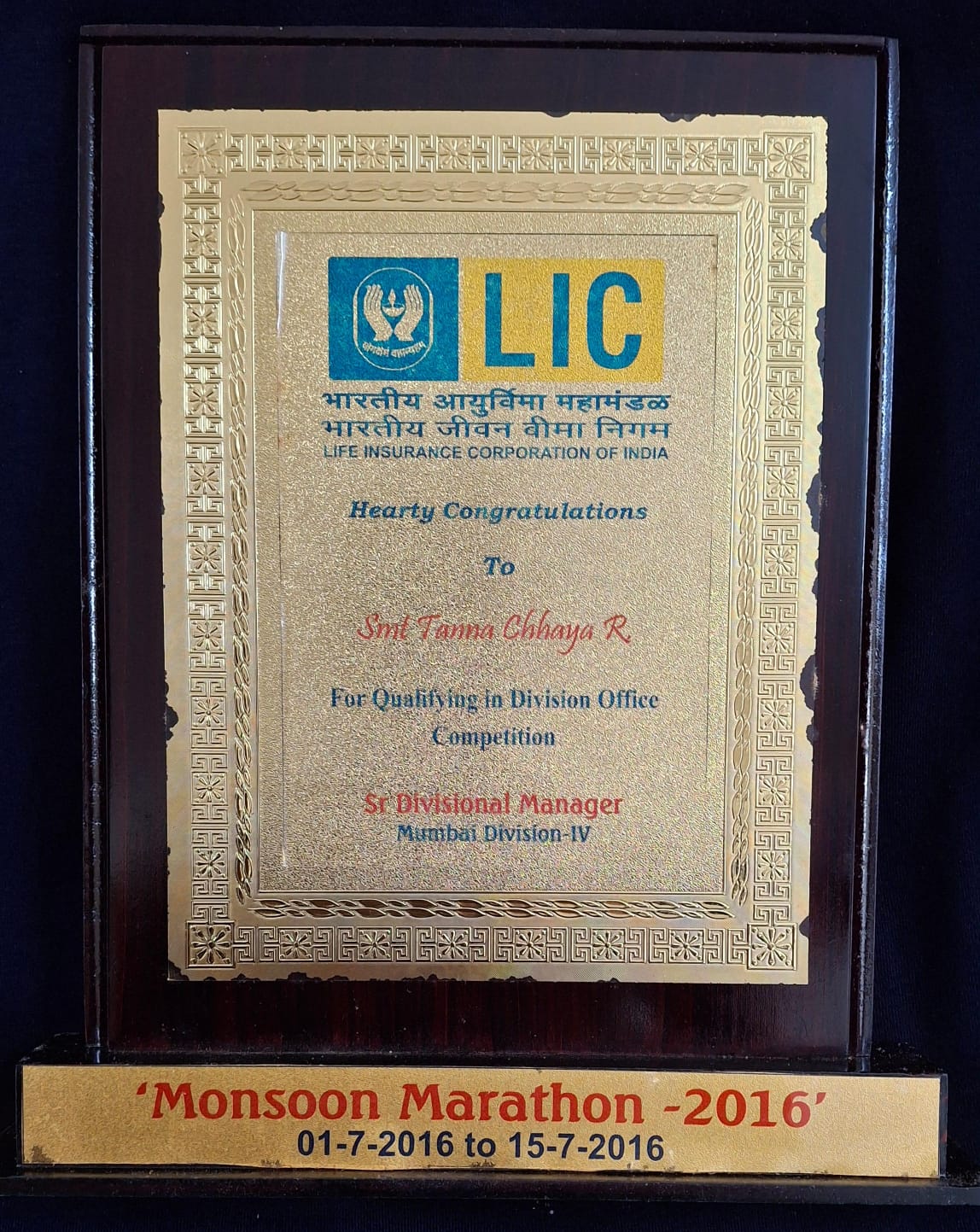 Monsoon Marathon 2016