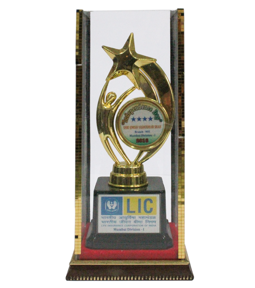 Achievers Award 2016-17