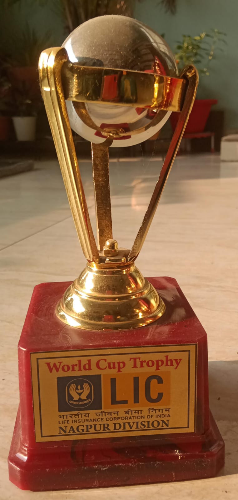 Awarded the World Cup Trophy