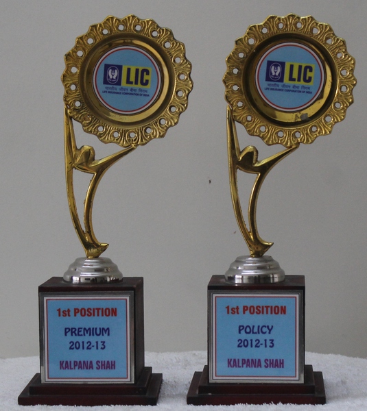 No 1 in Policy and Premium 2012 - 2013
