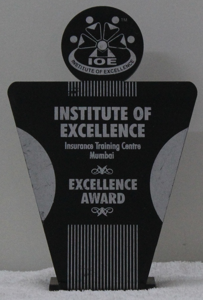 Excellence Award