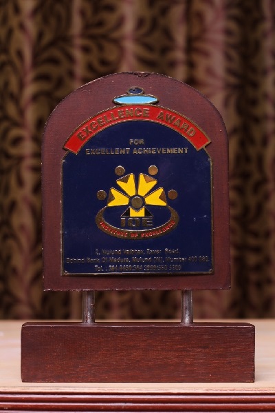 Excellence Award